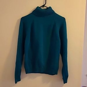 Spruce green turtleneck sweater